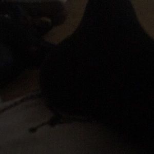 Meet your Posher, Nathan